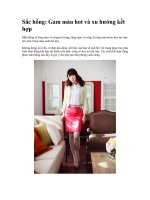 Sắc hồng: Gam màu hot và xu hướng kết hợp doc