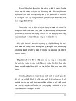 Tìm hiểu yếu tố để phát triển kinh tế thị trường: Công ty cổ phần phần 3 potx