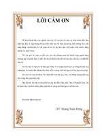 Giải pháp nhằm nâng cao chất lượng thẩm định tín dụng tại ngân hàng thương mại cổ phần Đại Á (Hội Sở)