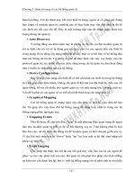 CÔNG NGHỆ GRID COMPUTING VÀ ỨNG DỤNG THỬ NGHIỆM TRONG BÀI TOÁN QUẢN TRỊ MẠNG - 8 pot