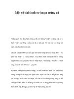 Một số bài thuốc trị mụn trứng cá doc