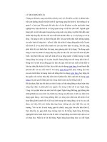 Tín dụng ngân hàng SacomBank chi nhánh Cần Thơ. Thực trạng và giải pháp