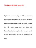 Tóc bệnh và bệnh rụng tóc pptx