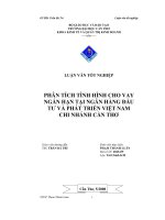 Phân tích tình hình cho vay ngắn hạn tại ngân hàng đầu tư và phát triển Việt Nam chi nhánh Cần Thơ