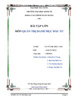 Phân tích danh mục đầu tư, danh mục chứng khoán bao gồm các cổ phiếu VNM, MSN, DHG, DPM