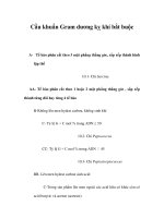Cầu khuẩn Gram dương kỵ khí bắt buộc pdf