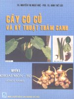 Cây có củ và kỹ thuật thâm canh (Môn-Sọ) part 1 ppt