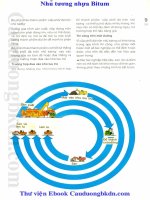 nhũ tương nhựa Bitum - Đại cương và ứng dụng phần 8 pdf