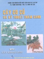Cây có củ và kỹ thuật thâm canh - Cây khoai lang part 1 doc