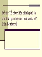 Bài thuyết trình quôc tế Tổ chức liên chính phủ là chủ thể hạn chế của Luật quốc tế? Liên hệ thực tế