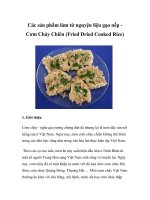 Các sản phẩm làm từ nguyện liệu gạo nếp - Cơm Cháy Chiên doc