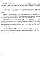 Kỹ thuật thủy canh và Sản xuất rau sạch part 3 pdf