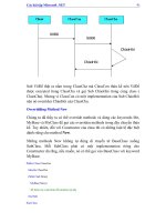 Các bài tập Microsoft .NET 1 phần 6 ppsx