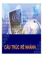 Bài giảng Tin học đại cương  Chương 6: Cấu trúc rẽ nhánh