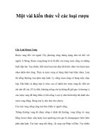 Một vài kiến thức về các loại rượu docx