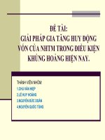 ĐỀ TÀI: GIẢI PHÁP GIA TĂNG HUY ĐỘNG VỐN CỦA NHTM TRONG ĐIỀU KIỆN KHỦNG HOẢNG HIỆN NAY. ppt
