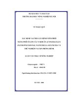 Xác định vai trò gây bệnh viêm phổi – màng phổi ở lợn của vi khuẩn actinobacillus pleuropneumoniae, pasteurella multocida và thử nghiệm vacxin phòng bệnh