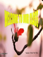 Bài giảng tiếng anh lớp 11 ppt