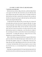 CẤU TRÚC VÀ CHỨC NĂNG CỦA HỆ THẦN KINH ppt