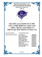 giá cà phê robusta việt nam