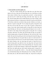 Pháp luật về chuyển nhượng quyền sử dụng đất trong kinh doanh bất động sản ở việt nam
