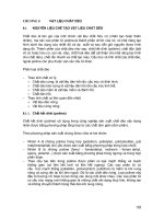 CHƯƠNG 8 VẬT LIỆU CHẤT DẺO pps