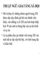 THUẬT NGỮ: GIAI TẦNG XÃ HỘI ppsx