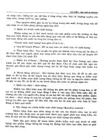 Hạt điều - Sản xuất và chế biến part 7 pot