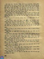 Chữ Nôm : Nguồn gốc - Cấu tạo - Diễn biến part 10 pps