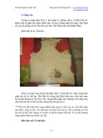 Kĩ thuật quân sự Đại Việt part 2 pdf