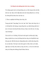 Lời khuyên cho những sinh viên vừa ra trường pot