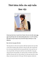 Thời khóa biểu cho một tuần làm việc potx