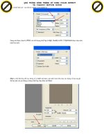quá trình hình thành sử dụng color effect và classic motion guide p1 pdf
