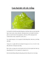 Lưu huỳnh với cây trồng pps