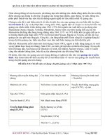 Quảng cáo- Vai trò quan trọng để tăng doanh thu phần 4 ppt