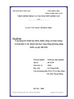 Ứng dụng kỹ thuật hạt nhân nhằm nâng cao hàm lượng artemisinin ở cây thanh hao hoa vàng bằng phương pháp chiếu xạ gây đột biến