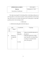 KÍNH BẢO HỘ LAO ĐỘNG Phân loại pdf