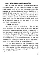 Kỹ thuật trồng, chiết, ghép, giâm cành Hoa hồng part 6 potx