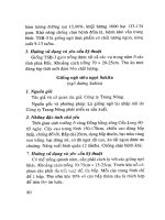 Kỹ thuật trồng ngô giống mới và năng suất cao part 9 potx