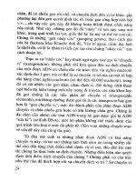 Công nghệ sinh học đối với cây trồng vật nuôi và bảo vệ môi trường - Quyển 2 part 2 potx