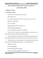 phân tích sứ mệnh viễn cảnh của công ty bausch & lomb