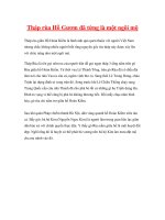 Tháp rùa Hồ Gươm đã từng là một ngôi mộ pptx