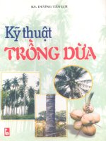 Kỹ thuật trồng dừa part 1 doc