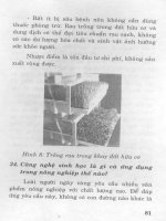 Bác sĩ cây trồng : Kỹ thuật gieo trồng và chăm sóc cây part 9 docx