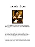 Tìm hiểu về Côn ppsx
