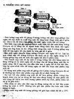 Kỹ thuật sản xuất ong mắt đỏ part 6 pptx