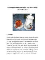 Các sản phẩm làm từ nguyên liệu gạo – Trà Gạo Lức potx