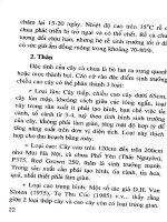 Kỹ thuật trồng cà chua ( Tái bản lần thứ 2 ) part 3 pot
