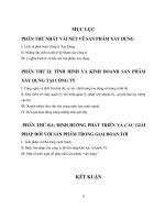 Định hướng phát triển và các giải pháp đối với sản phẩm tại công ty xây dựng trong giai đoạn tới