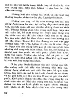 Hoa Lan nuôi trồng và kinh doanh part 5 pot